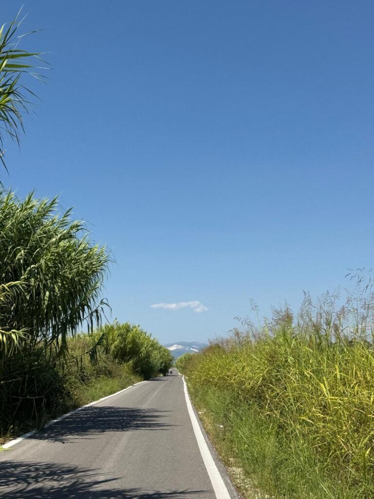 Quiet road through the Nestos countryside